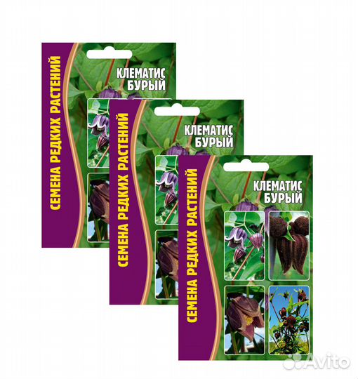 Семена цветов Клематис Бурый, 3 уп. по 5 сем