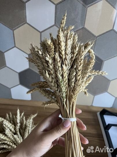 Букет из пшеницы