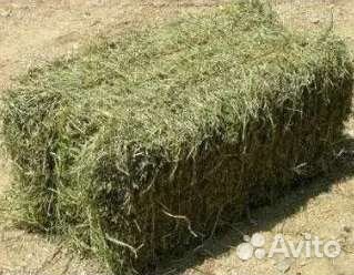 Сено вкусное хранится в складе