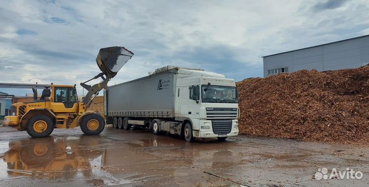 Кора лиственницы оптом