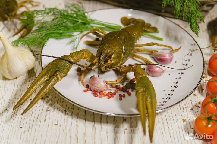 Раки живые с доставкой