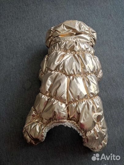 Комбез на маленькую собачку