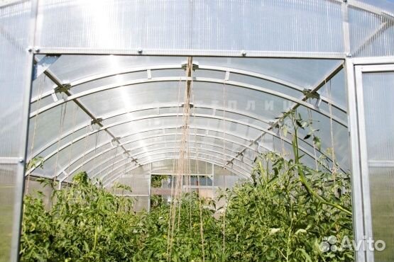 Теплица 