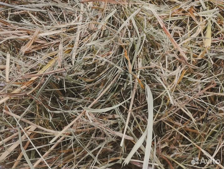 Сено - стружка - опилки