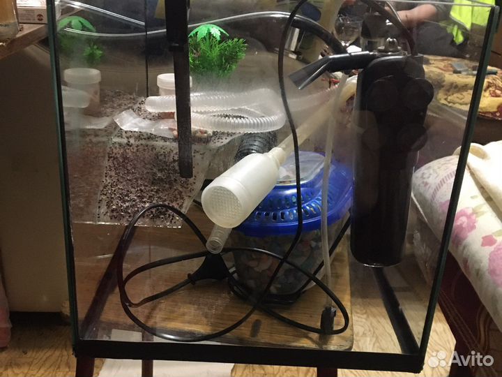 Аквариум для красноухой черепахи