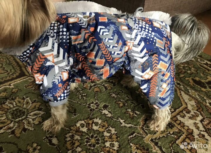 Одежда для собак