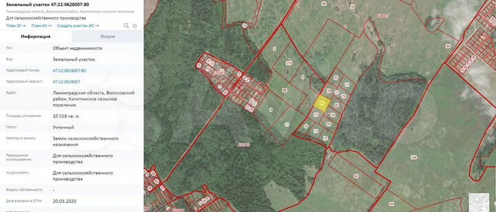 Участок 100 сот. (СНТ, ДНП)