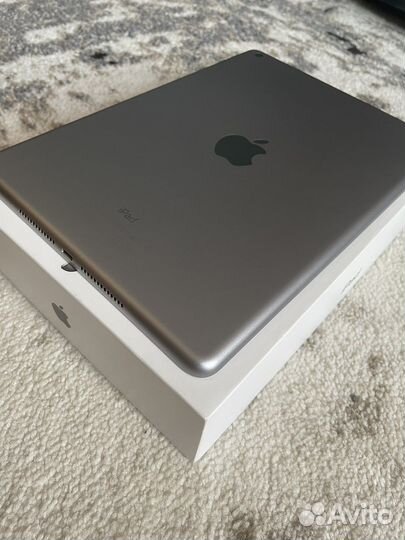 iPad