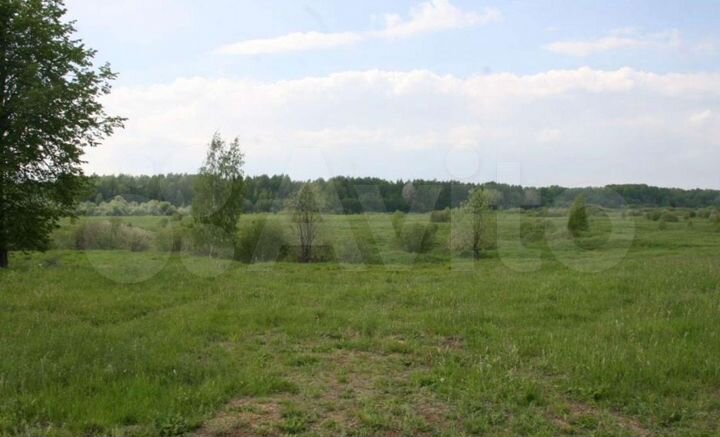 Участок 5,3 га (СНТ, ДНП)