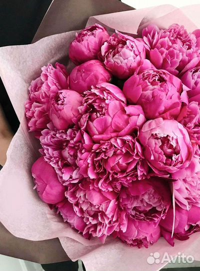 Пионы Цветы Доставка