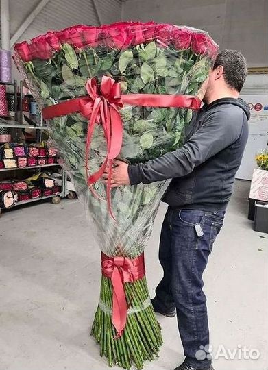 Розы гиганты 140 150 160 170 180 200