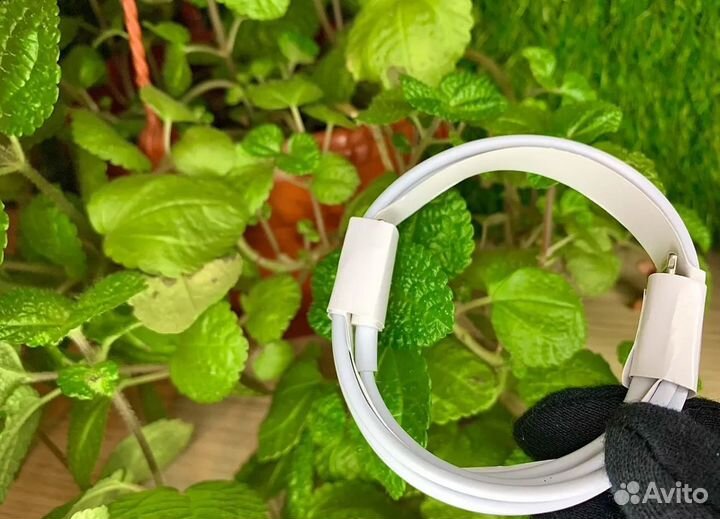 AirPods Pro 2 (новая версия) ростест + чехол