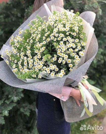 Букеты ромашек