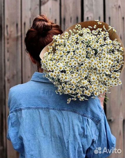 Цветы ромашки. Букеты ромашек. Цветы доставка