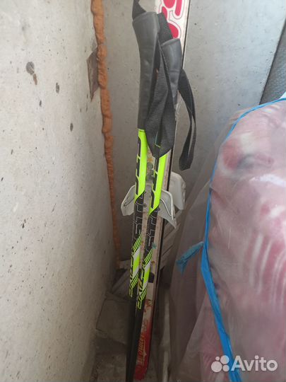 Беговые лыжи