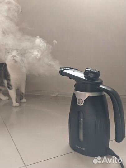 Отпариватель для одежды