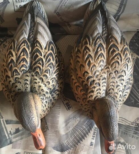 Чучела уток