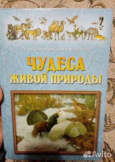 Чудеса живой природы