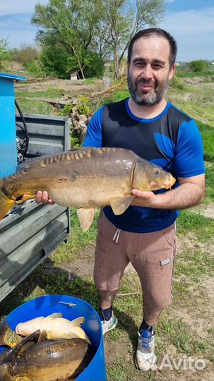 Все для рыбалки