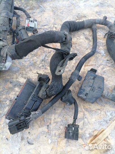 Проводка подкапотная Dodge Stratus