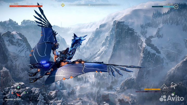 Horizon 2: Запретный Запад (PS5) Коллекционное изд