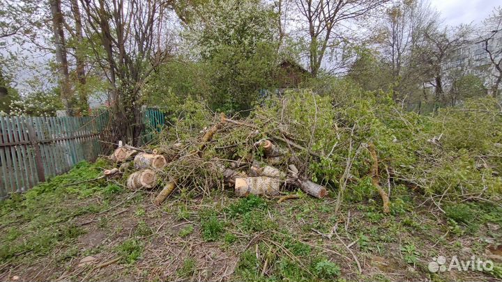 Отдам бесплатно