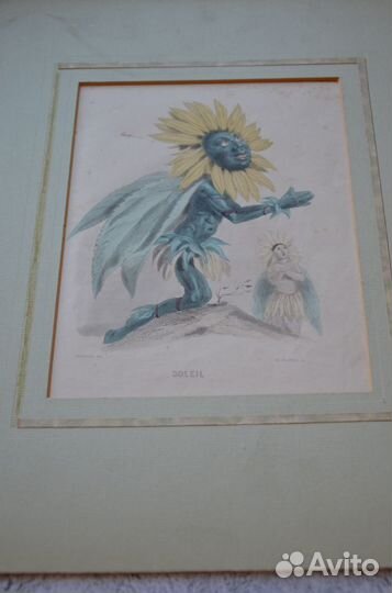 Антикварные гравюры