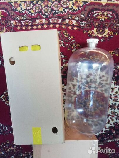 Бутылка, пустые кеги из под пива 30л