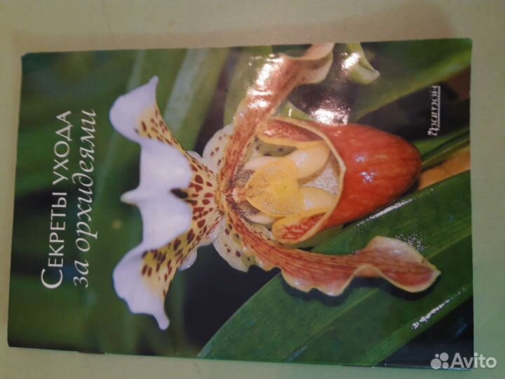 Секреты ухода за орхидеями
