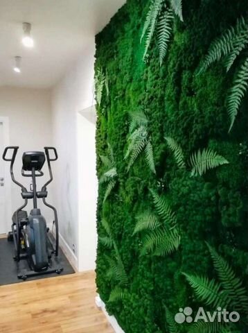 Фитостена мох стабилизированный