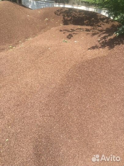 Шелуха гречьки