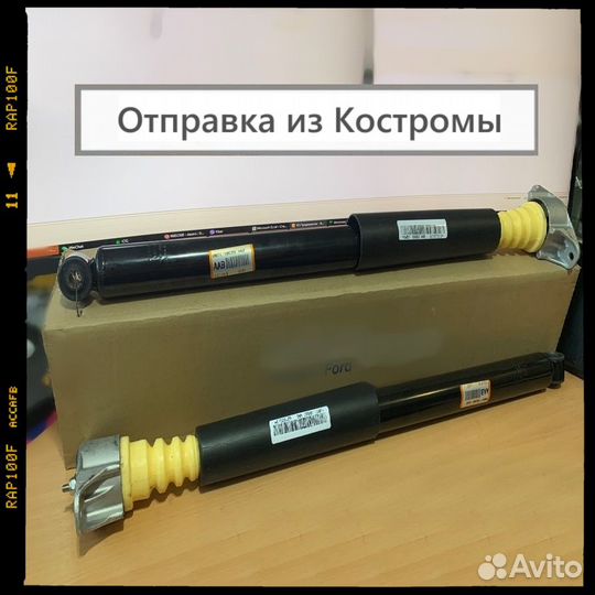 Амортизатор задний Ford Focus II в сборе