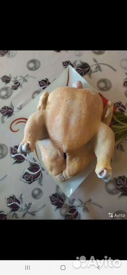 Мясо домашнего бройлера
