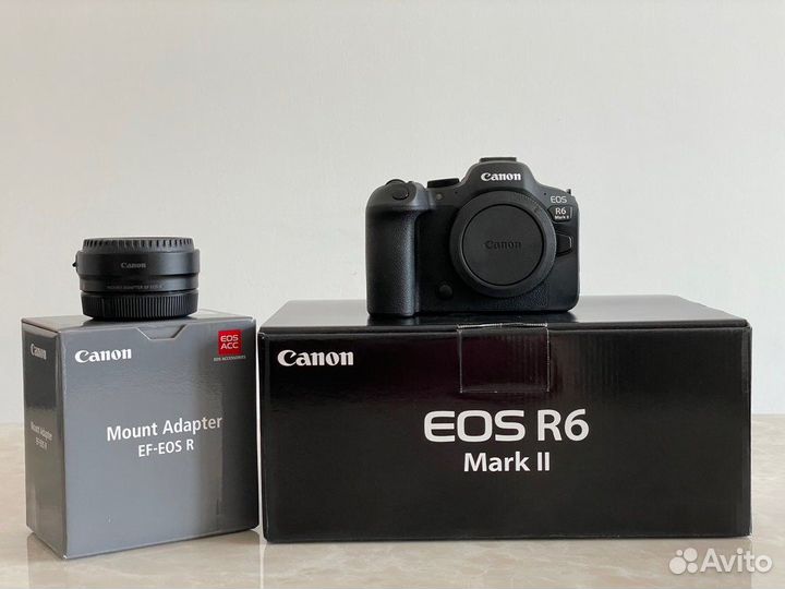 Canon EOS R6 mark II body(новый)