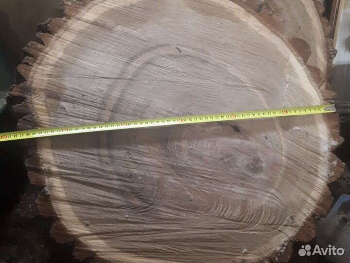 Слэб дерева и спилы дуб