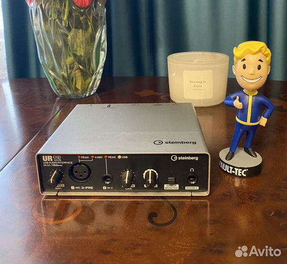 Звуковая карта Steinberg UR12