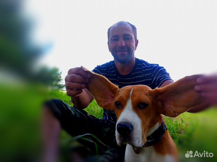 Кинолог эксперт. Оплата за результат. Гарантия