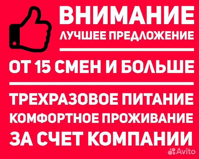 Упаковка яиц вахта 15 30 45 60