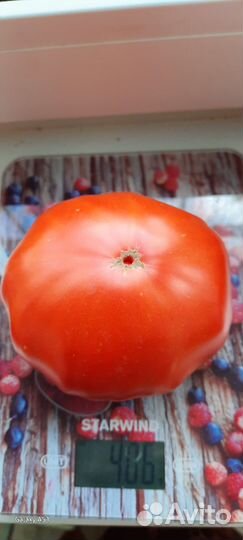 Семена овощей И цветов