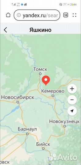 Лес кругляк кедр