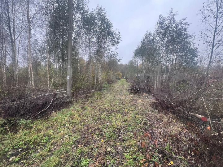 Участок 12 сот. (ИЖС)