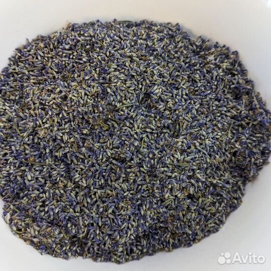 Лаванда сухоцвет