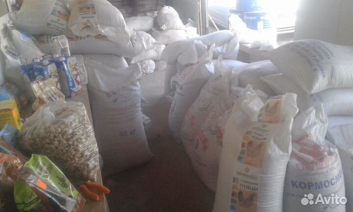 Корма для животных