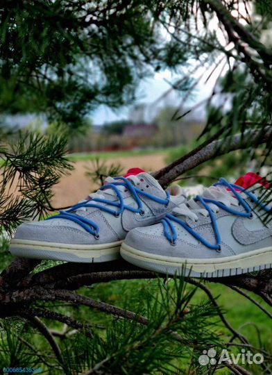 Nike Dunk Off White – кроссовки от Nike для мужчин