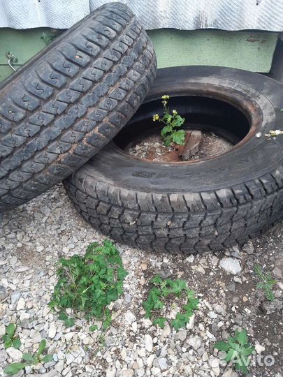 Шины волдай