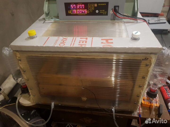 Инкубатор для яиц