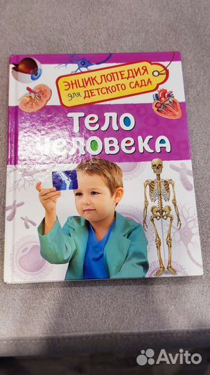 Тело человека