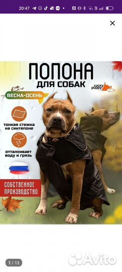 Попона для собак