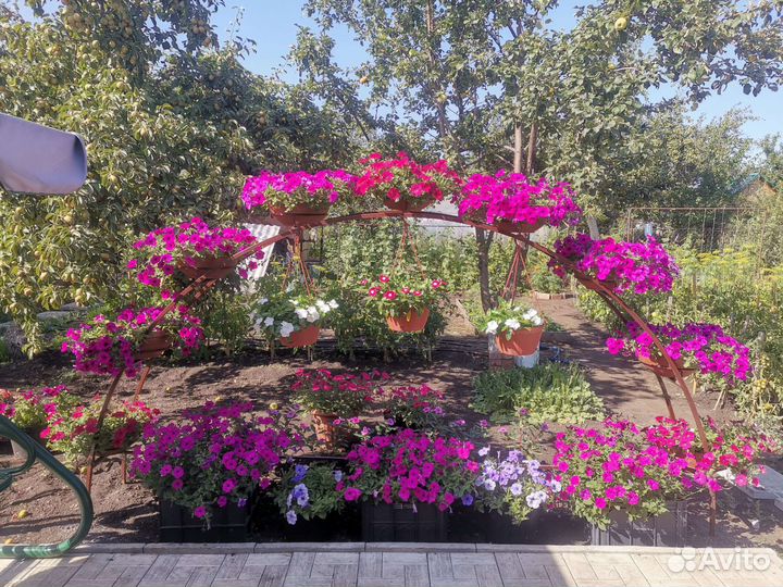 Арка для цветов