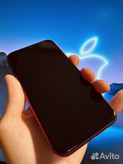 iPhone Xr, 64 ГБ
